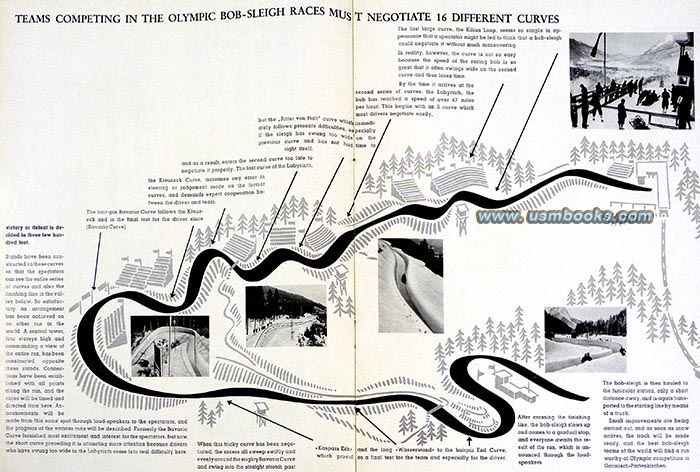 1936 Winter Olympics bob sledding