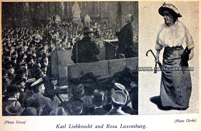 Rosa Luxemburg, Karl Liebknecht