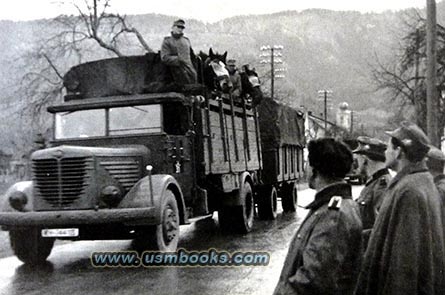 Nazi mountain troops crossing the borden into the Kingdom of Yugoslavia