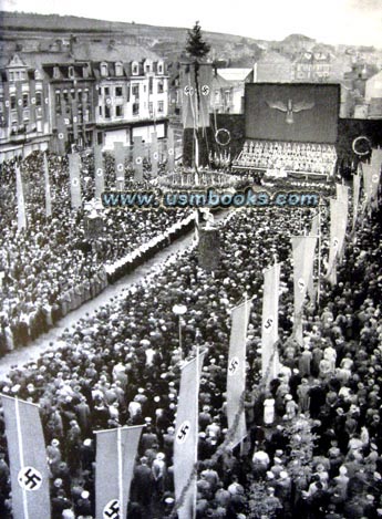 swastika banners