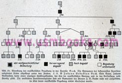 selectively breeding people with the best genetic characteristics