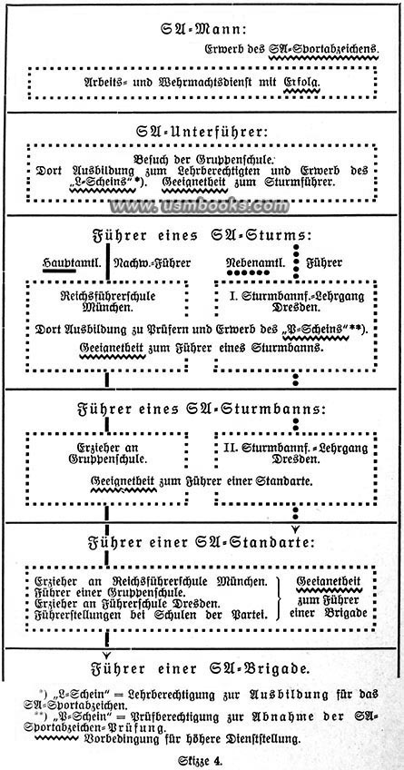 SA career path