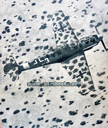 Luftwaffe fighter plane, African desert camo