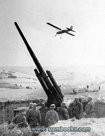 Fieseler Storch, German 88 FLAK gun